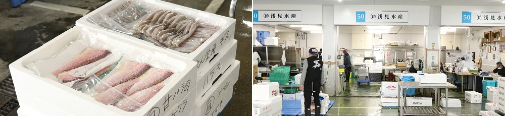 浅見水産の鮮魚と作業場の様子