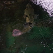 もう、この時期ですよ!