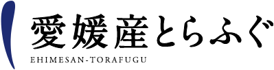 愛媛産とらふぐ