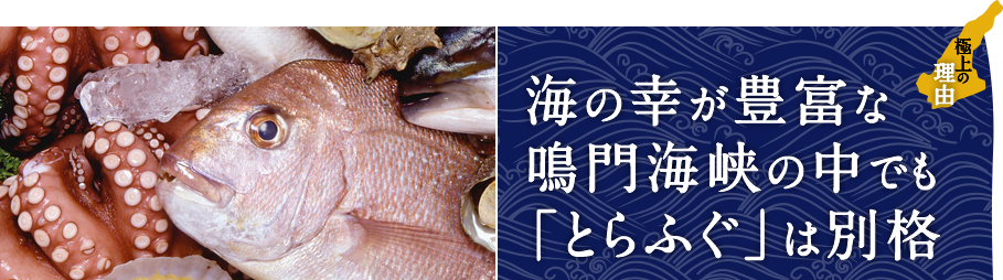 海の幸が豊富な鳴門海峡の中でも「とらふぐ」は別格