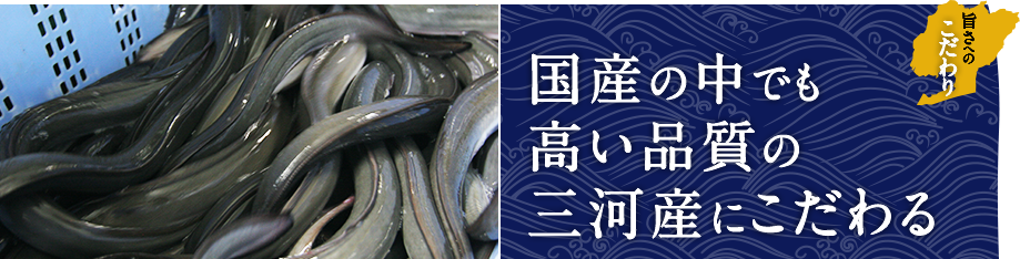 国産の中でも高い品質の三河産にこだわる