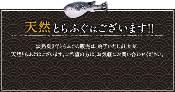 天然とらふぐはございます